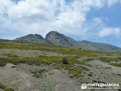 Ruta senderismo Peñalara - Parque Natural de Peñalara; grupos de senderismo en madrid capital